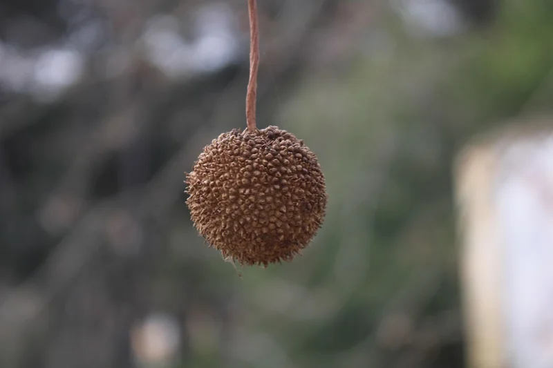 kb 마이너스 통장