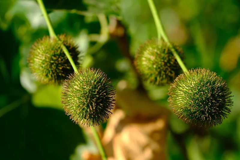 kb 마이너스 통장