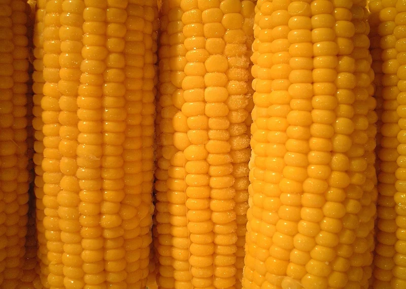 kb 증권 수수료
