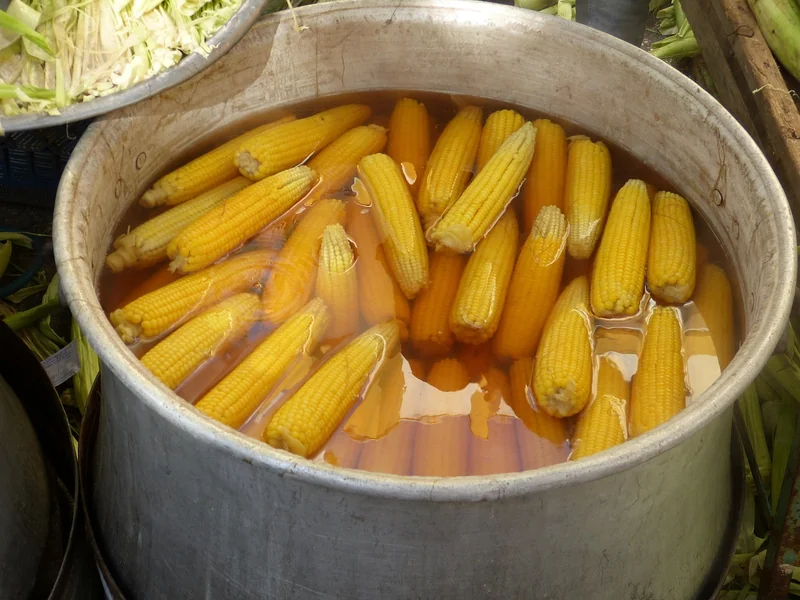 nh 나무 수수료