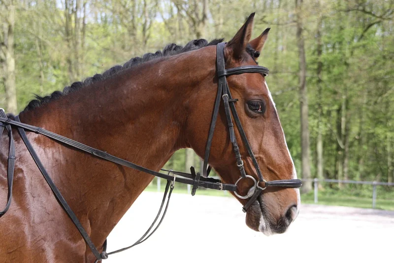 대출 갈아 타기