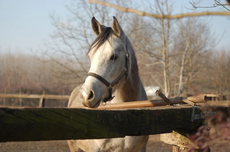 대출 갈아 타기