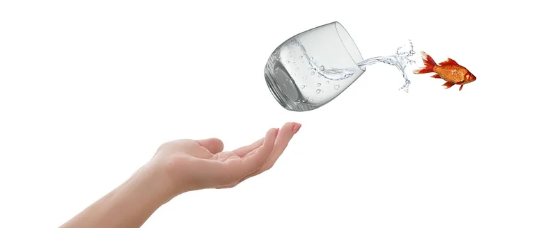 대출 납입일 변경