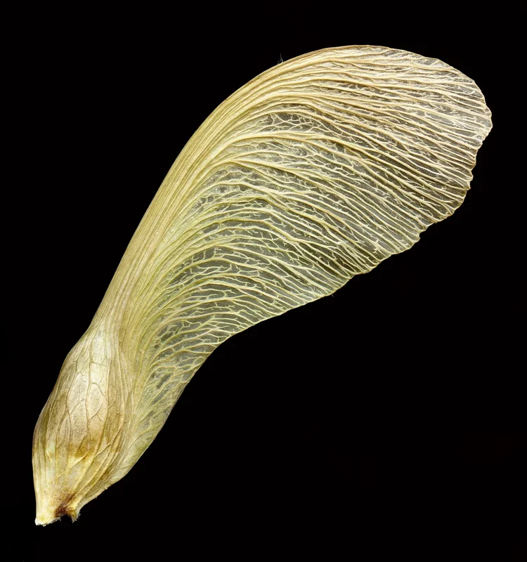 대출 중도 상환 수수료