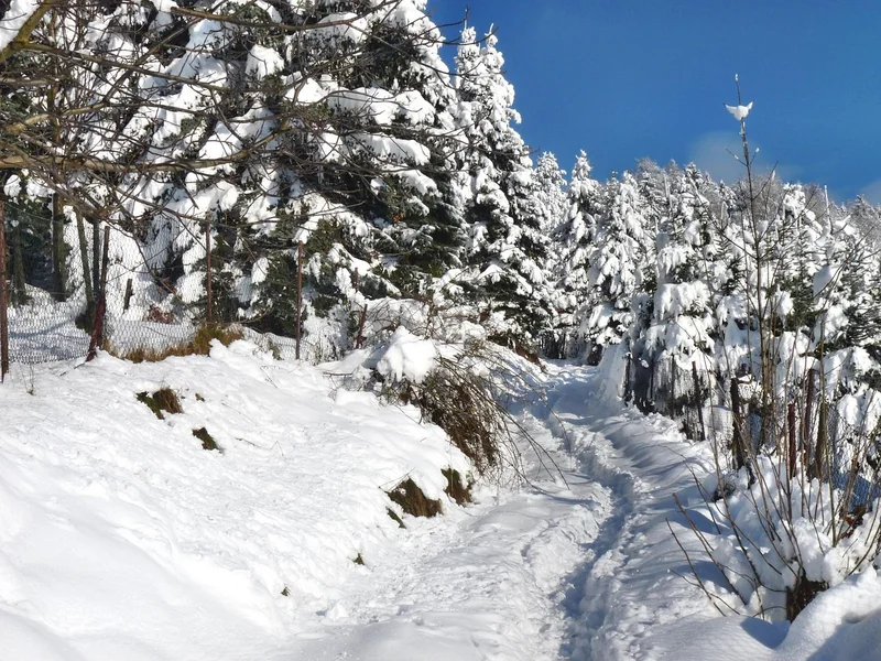 마이너스 통장 이자 계산기
