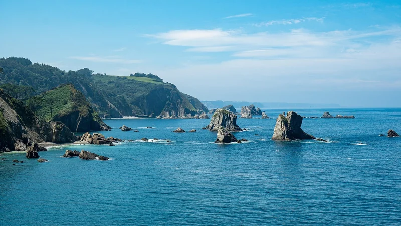 보증 보험 비용