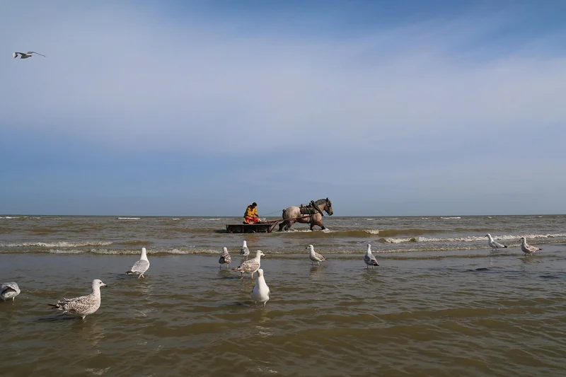 보증 보험 비용