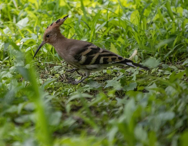 보증 보험 회사 종류