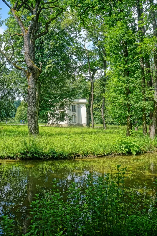 보험 만기 되면