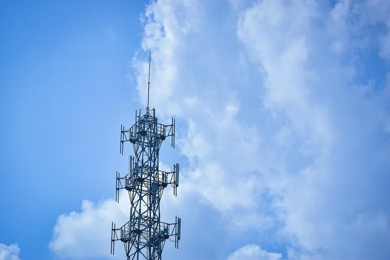 보험 조회 어플