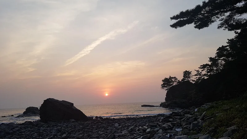 보험 특약 해지