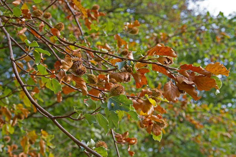 상환 기간