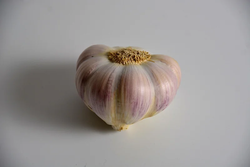 상환 기간