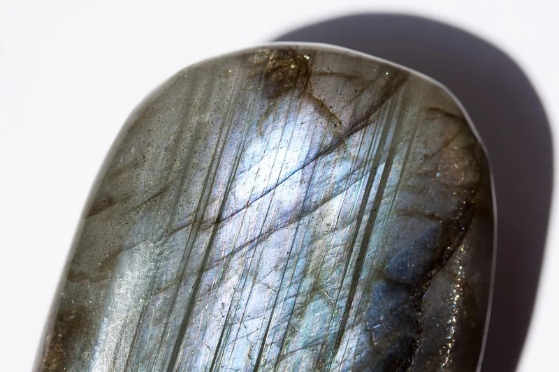 세금 체납 조회