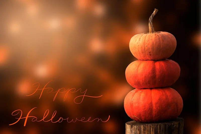 신용 카드 발급 기간