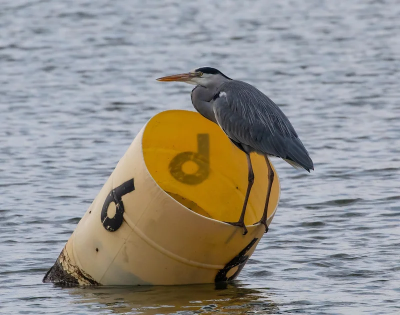신용도 등급