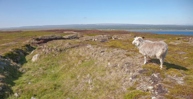 주식 호가 단위