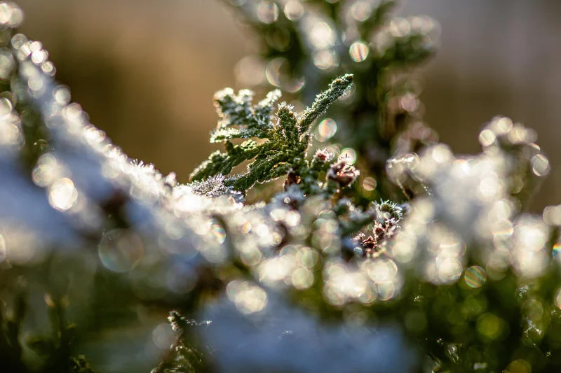 투자 문자 차단