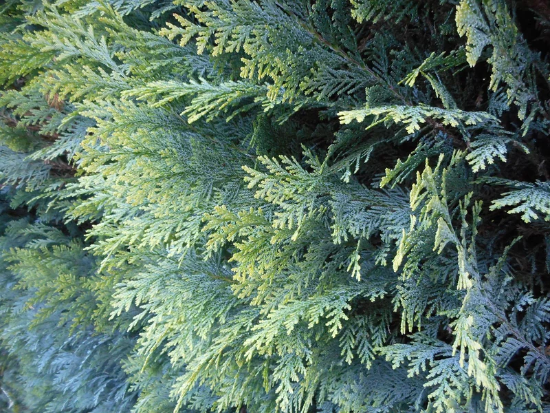 투자 자산 운용사 pdf