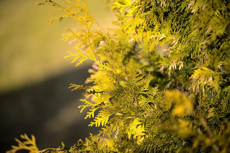 투자 자산 운용사 pdf