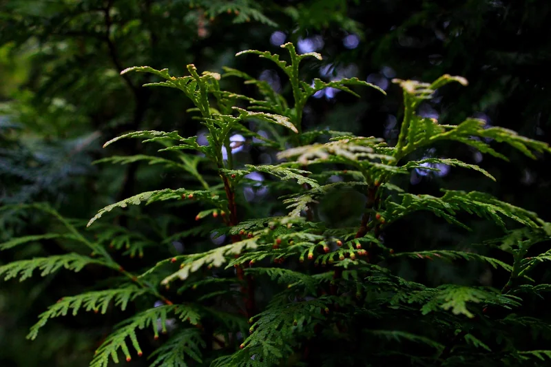 투자 자산 운용사 난이도