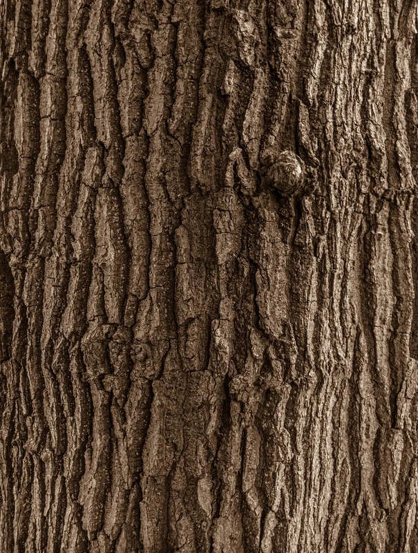 투자 자산 운용사 난이도