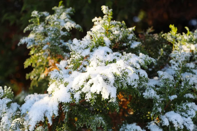 투자 자산 운용사 난이도