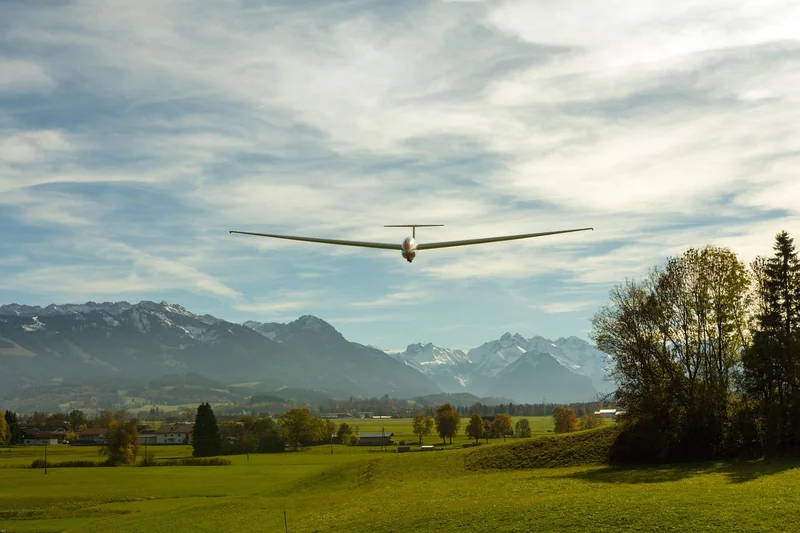 파산 면책 기간