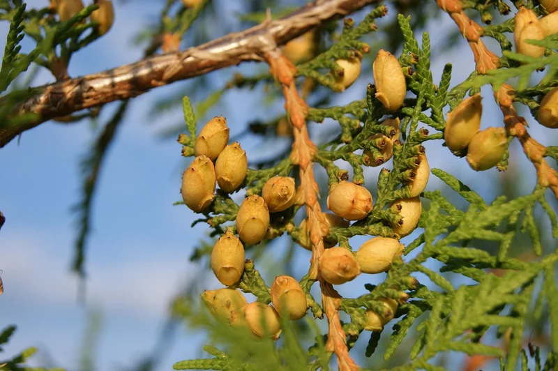 환율 투자