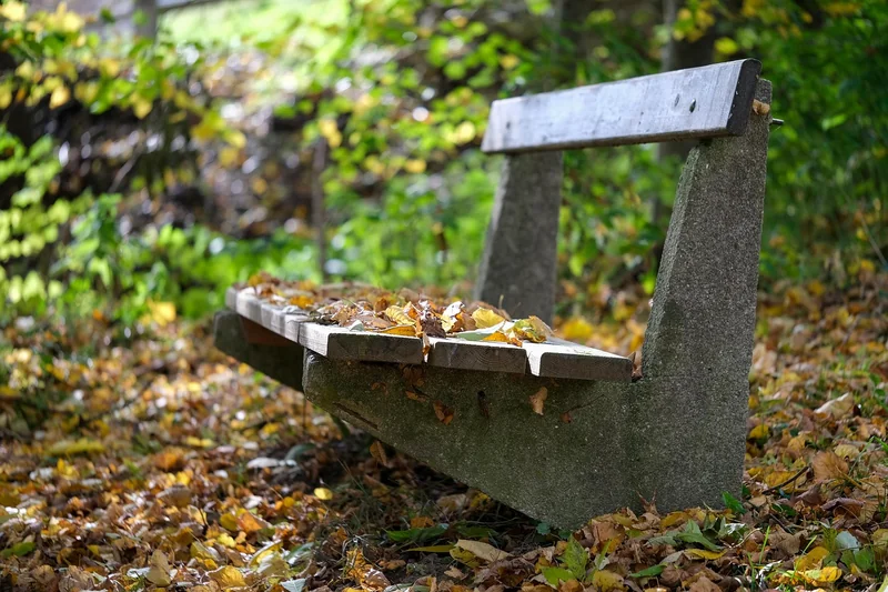 환전 은행 추천